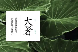 今日大暑，你听过小海豹的叫声吗？图片