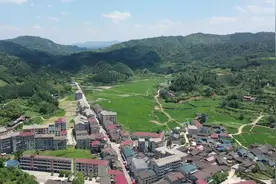 冷水溪：“五个振兴”绘就乡村新画卷图片