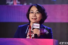 杨莉：财务数字化过程中CFO的角色定位——我是谁、到哪去、怎么做图片