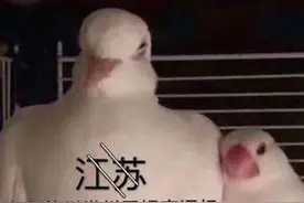 驰援河南，“散装”江苏又来了图片