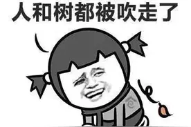 强台风“烟花”逼近！交通人全力以赴！这些情况下，地铁将停运，轮渡将停航图片