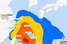 浙江发布风暴潮黄色警报、海浪黄色警报图片