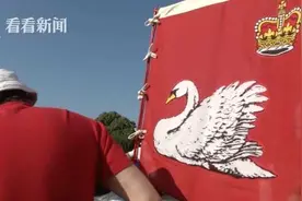 “鹅口普查”开始啦！英国王室恢复清点天鹅传统图片