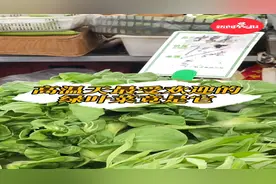 高温天的青菜不好吃？上海菜市场这个品种的绿叶菜却大受欢迎