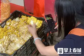 外省朋友最爱鸡枞菌！云南“菌主”揭露直播带货那些事图片