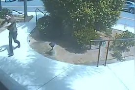 加州反犹枪手认罪 曾报警称“犹太人毁灭白人”图片