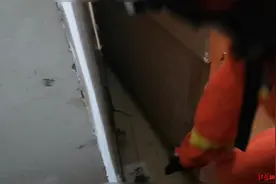 凌晨听见异响，女子开灯看见床头书柜上竟盘着一条蛇！消防抓蛇放生图片