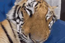 何以消夏，唯有美食！十笏园美食街为您奉上夏日美食攻略！图片