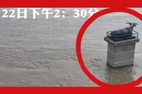 河南周口迎战上游泄洪：铁牛附近水位上涨明显，大货船一度被冲跑图片