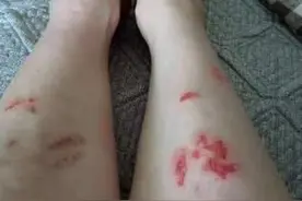 京广路隧道救人的英雄找到了！是一名当过兵的网约车司机丨亲历者说图片
