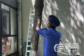 聚焦小区圈绿毁绿和私搭乱建 崂山城管开展集中整治行动图片