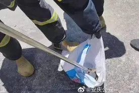 怀宁一居民干完农活回家 看见两米大蛇飞快“游”进卧室图片