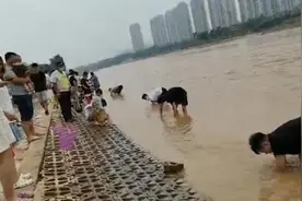 郑州贾鲁河刚泄完洪，有家长带孩子在滩涂上捞鱼视频封面
