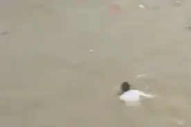 “你要不救，人家就沉底了”！洪水中连救5人的大哥是退伍特种兵图片