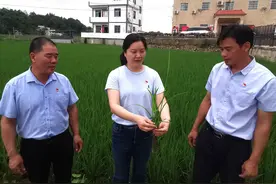 绽放在扶贫攻坚路上的铿锵玫瑰——记新安街道驻龙川县车田镇官天岭村第一书记何莉华图片