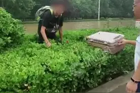 17岁少年滞留郑州5天，路遇救援消防员抱住大哭视频封面