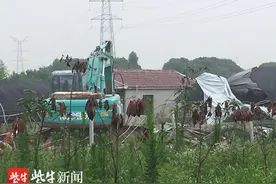拆除房屋面积17000余平方米！苏州市相城区拆除34处占用农用地违法建设图片