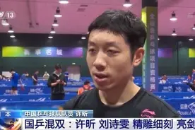 精雕细刻！国乒混双许昕、刘诗雯亮剑东京图片