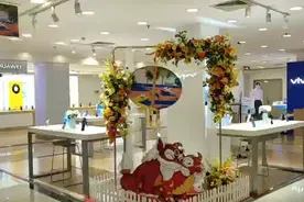 如何快速求救？手机有个“隐藏”功能！未来，上海更多公话亭可以免费打电话 | 民生测评图片