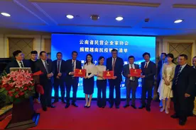 云南民营企业捐赠越南抗疫物资交接仪式在昆明举行图片