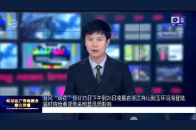 台风“烟花”预计25日下午到26日凌晨在浙江舟山到玉环沿海登陆 届时将给奉贤带来明显风雨影响视频封面