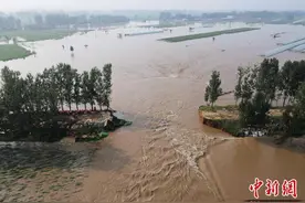 河南浚县卫河河堤发生决口 目前正做封堵准备图片