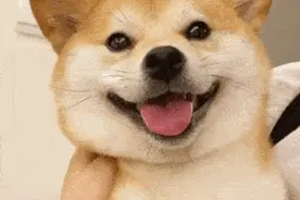 暑热升级！辽宁今天不仅闷热，还更晒了！8地最高温超33℃图片