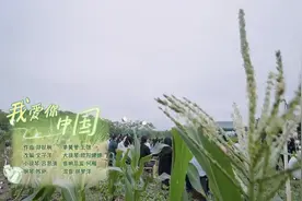 吕思清王弢欧阳娜娜陈萨田野合奏《我爱你中国》何炅黄磊听得入迷图片