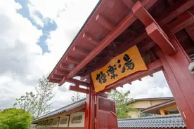 上海国际旅游度假区又添新项目！极乐汤百万石温泉街开业图片