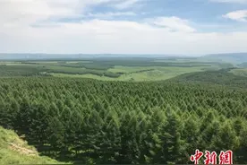 2021年首趟北京至塞罕坝旅游专列启程图片