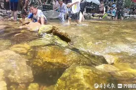 周末济南南山溪边戏水，人气爆棚图片