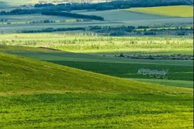 宝鸡出发，一路向北～去邂逅中国最美的夏天！图片