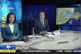 台风“烟花”外围影响已至  申城明后天将迎大暴雨阵风10级以上视频封面