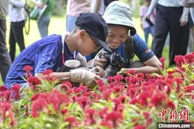 探访昆虫的奥秘 第二届粤港澳自然观察大赛启动图片