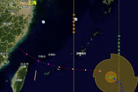“烟花”登陆“发威”，申城狂风暴雨！预警再升级，民防筑“结界”图片