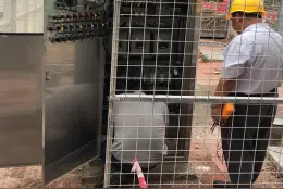 新闻追踪：网传“黑水”直排东江，博罗已查明原因并整改图片