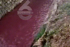 触目惊心！昆明呈贡区这条紫红色的沟渠是谁染的？图片