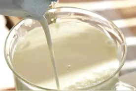这水牛奶也太好喝了图片