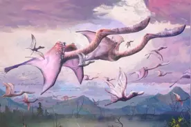 古生物学家发现刚孵化的翼龙可能已经具备了飞行能力图片