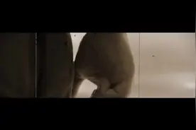 我比任何时候更懂你图片