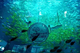 10余种萌宠齐上阵！大理海洋世界萌宠欢乐之旅等你来图片