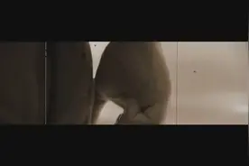 我比任何时候更懂你图片