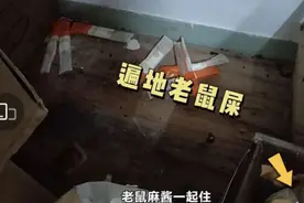 15楼财经 | 加盟店被曝老鼠屎遍地、洗碗布刷鞋……杨国福致歉称涉事门店停业整顿图片