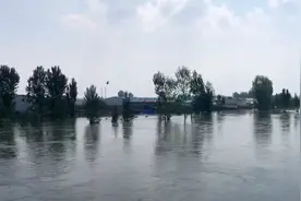 漫堤、倒灌、撤离，新乡经历了什么？图片