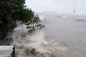 上海目前已处于7级风圈内 10级风圈正在逐步逼近