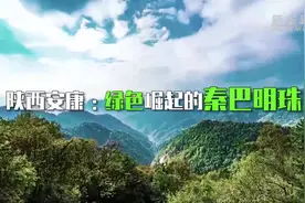 “七一”重要讲话精神在基层丨绿色的振兴——来自秦巴山区腹地的发展速写图片