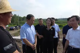 问政追踪｜沂南养猪户贷款缺少环保验收和排污许可 督导组：加强指导 最快五周内下发贷款图片