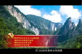 “两优一先”好榜样| 张家界市永定区天门山镇党委：激活“红细胞”凝聚“红色动能”视频封面