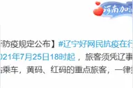 今日18时起，沈阳各火车站旅客须凭健康码绿码进站乘车图片