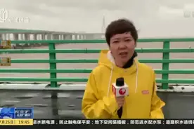 杭州湾跨海大桥今天中午封闭  桥面风力达到十级